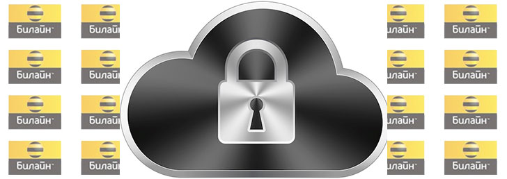 Как отключить домашний интернет Билайн