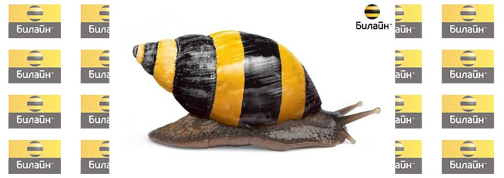 Как отключить смс рассылку Билайн Как отключить смс рассылку Билайн