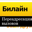 Переадресация вызова на Билайне