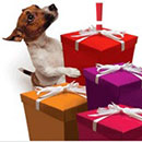 Как зарегистрироваться в МТС Бонус