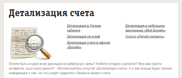 Детализация счета Билайн Детализация счета Билайн
