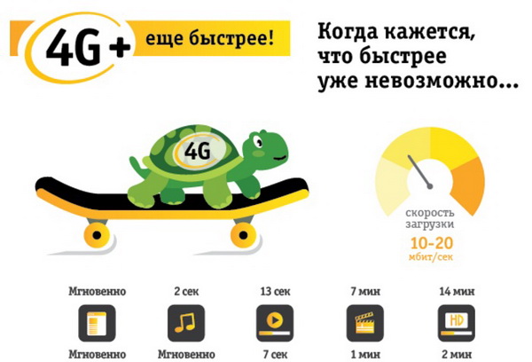 Подключение и настройка 4G на телефоне и модеме с сим-картой Билайн