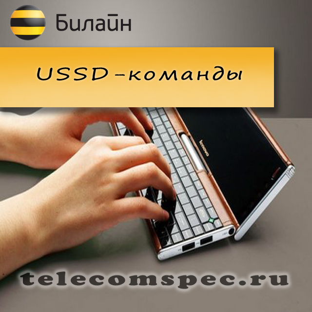 Список USSD-команд оператора Билайн.