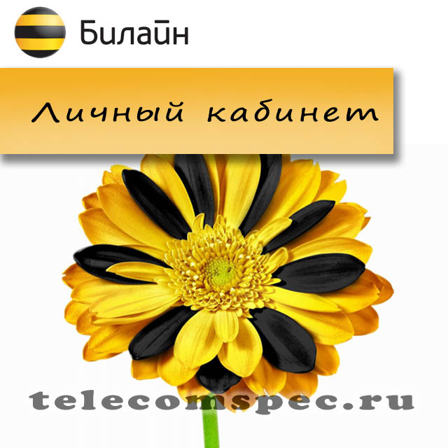 Личный кабинет Билайн: подробная информация