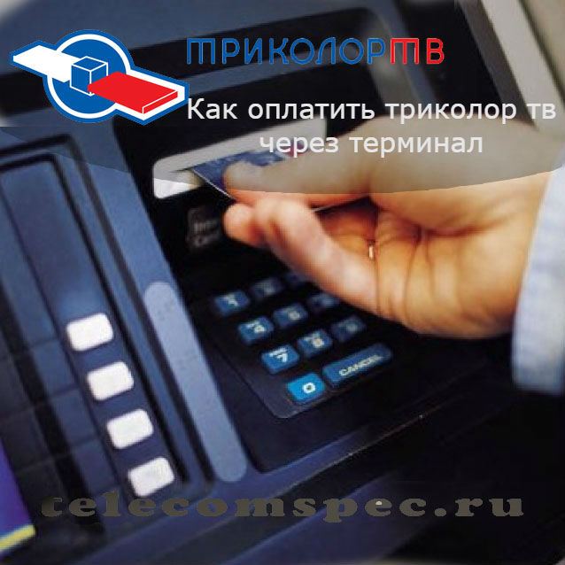 Как оплатить триколор ТВ через терминал: особенности