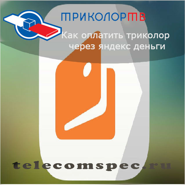 Как оплатить Триколор через Яндекс Деньги: особенности процедуры