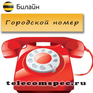 Услуга "Городской номер" от Билайн: описание и стоимость