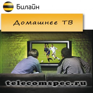Телевидение от Билайн: особенности подключения и стоимость