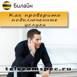 Как можно узнать какие услуги Билайн подключены у тебя