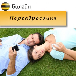 Переадресация от Билайн: как подключить и отключить услугу Переадресация от Билайн: как подключить и отключить услугу