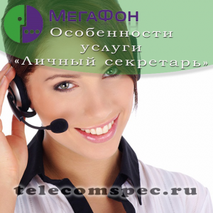 Личный секретарь Мегафон: как подключить и отключить, стоимость услуги Личный секретарь Мегафон: как подключить и отключить, стоимость услуги