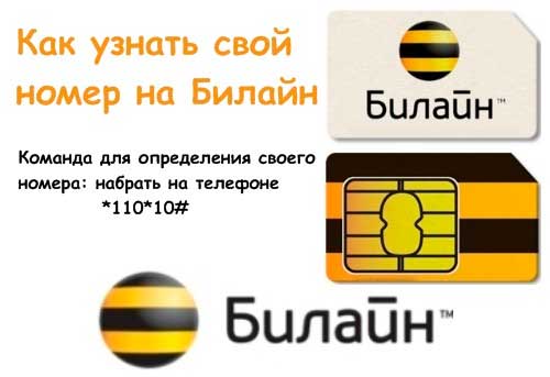 Как можно определить свой номер Билайн на разных мобильных устройствах