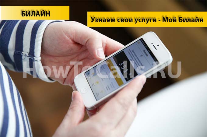 Как узнать какие услуги подключены на билайне и отключить их?