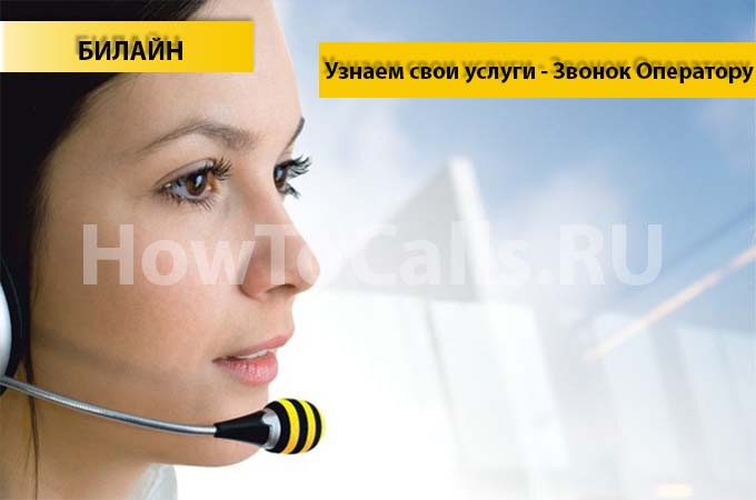 Как узнать какие услуги подключены на билайне и отключить их?