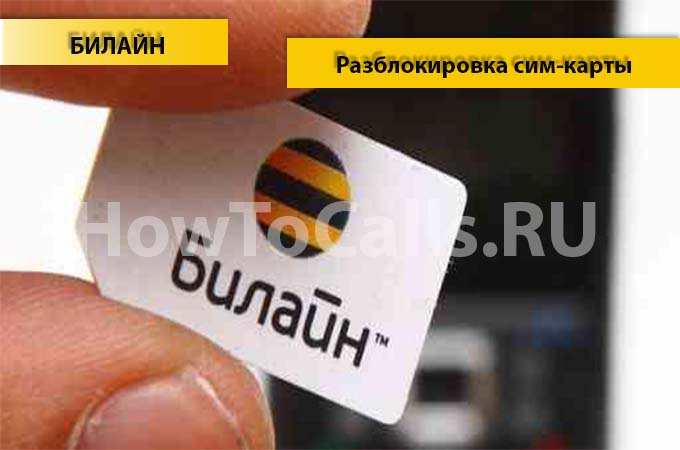 Инструкция по разблокировке сим-карты Билайна