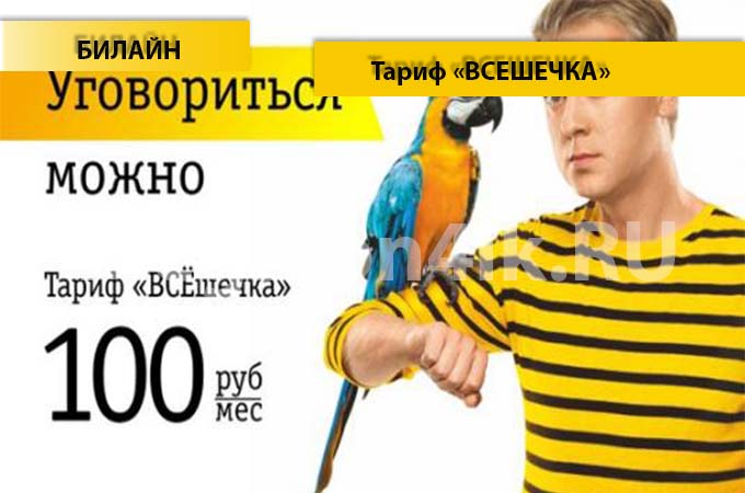 Тариф «Всешечка» от Билайн - описание, подключение и переход на тариф «Всешечка» Тариф «Всешечка» от Билайн - описание, подключение и переход на тариф «Всешечка»