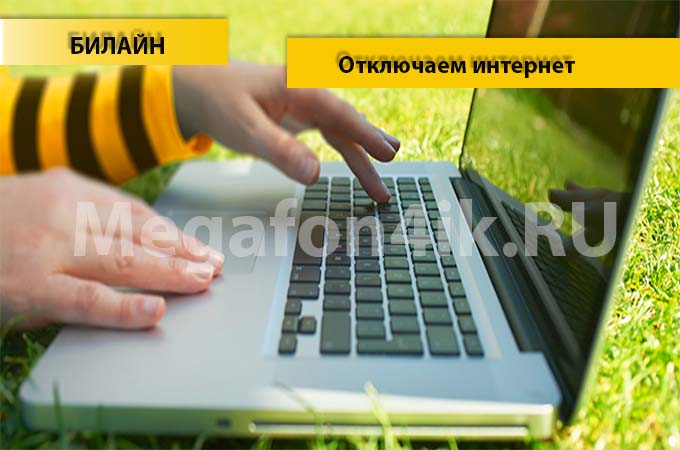 4 способа отключить интернет на Билайне