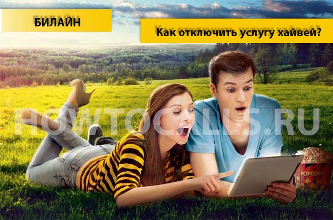 Как отключить услугу ХайВей от Билайн - инструкция по отключению