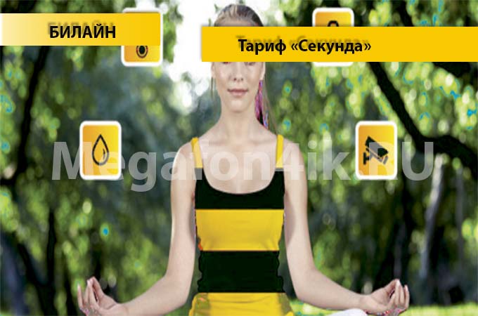 Тариф «Секунда» от Билайн - описание, подключение и переход на тариф Секунда Тариф «Секунда» от Билайн - описание, подключение и переход на тариф Секунда