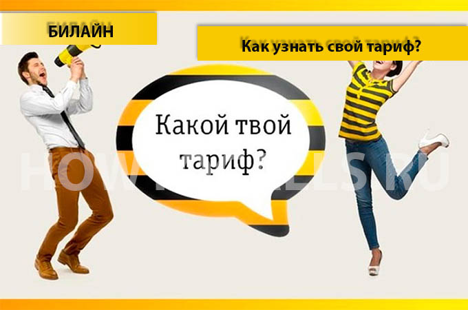Как узнать свой тарифный план на Билайне - 4 способа