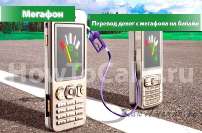 Как перевести деньги с Мегафона на Билайн - инструкция по переводу Как перевести деньги с Мегафона на Билайн - инструкция по переводу