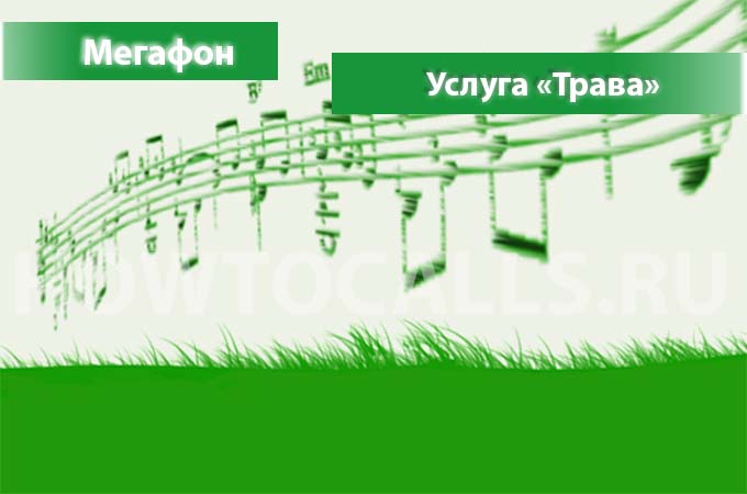 Опция Трава.ru Мегафон - описание, подключение и отключение услуги Трава от Мегафона