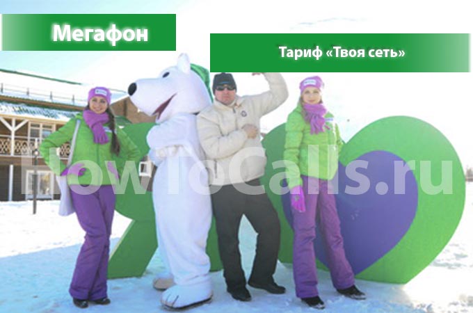 Тариф «Твоя сеть» от Мегафон - описание тарифа, как подключить и как отключить тарифный план Твоя Сеть от Мегафона