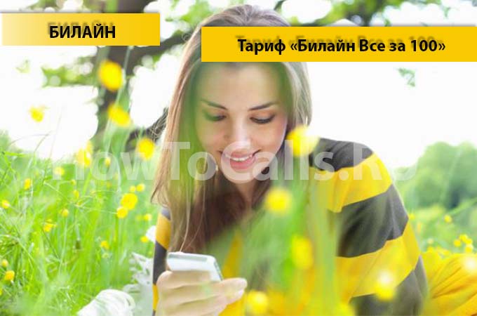 Тариф «Все за 100» от Билайн - описание тарифа, как подключить и как отключить тарифный план Все за 100 от Билайн
