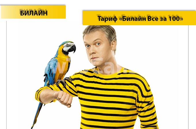 Тариф «Все за 100» от Билайн - описание тарифа, как подключить и как отключить тарифный план Все за 100 от Билайн