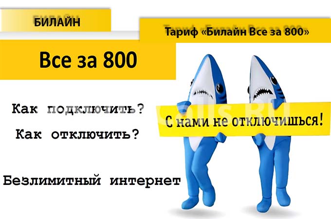 Тариф «Все за 800» от Билайн - описание тарифа, как подключить и как отключить тарифный план «Все за 800» от Билайн