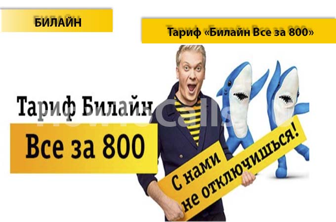 Тариф «Все за 800» от Билайн - описание тарифа, как подключить и как отключить тарифный план «Все за 800» от Билайн