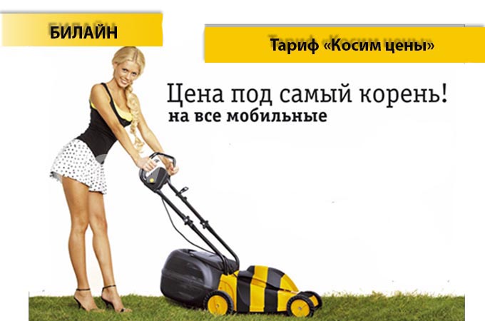 Тариф «Косим цены»от Билайн - описание тарифа, как подключить и как отключить тарифный план «Косим цены» от Билайн