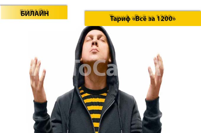 Тариф «Всё за 1200» от Билайн - описание тарифа, как подключить и как отключить тарифный план «Всё за 1200» от Билайн