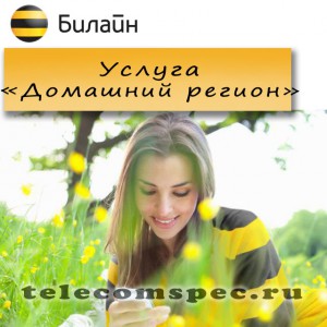 "Домашний регион" от Билайн: как подключить и отключить услугу
