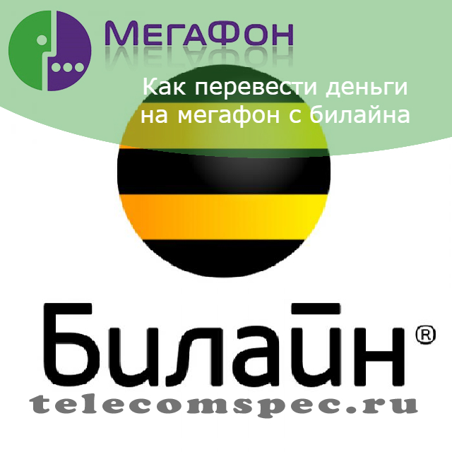 Как перевести деньги на Мегафон с билайна: пополнить счёт