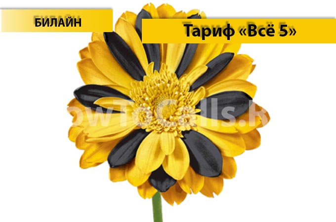 Тариф «Всё 5» от Билайн - описание тарифа, как подключить и как отключить тариф Всё 5 от Билайн