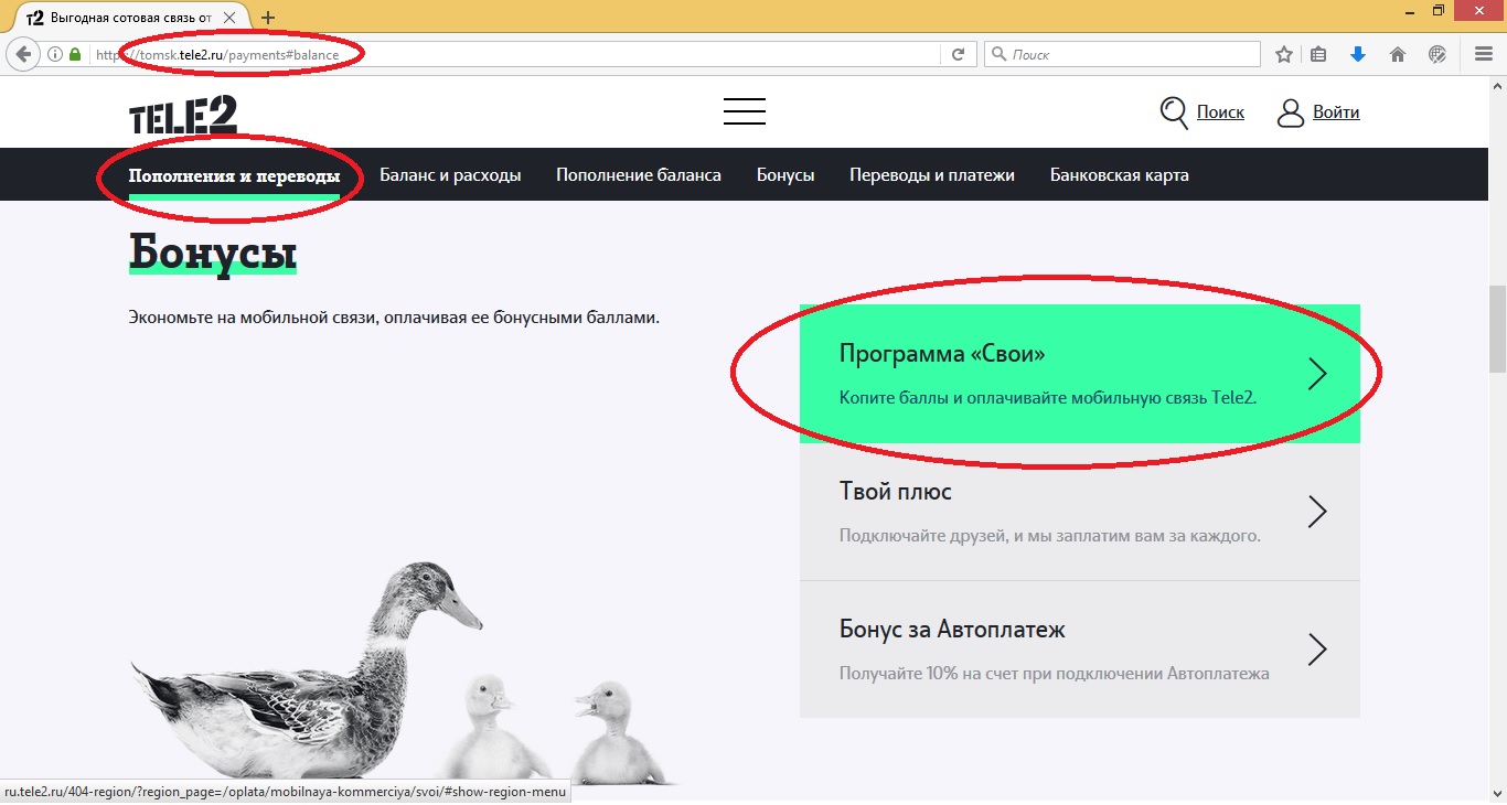 Свои Теле2: звони своим, как узнать свои расходы, описание услуги Свои Теле2: звони своим, как узнать свои расходы, описание услуги