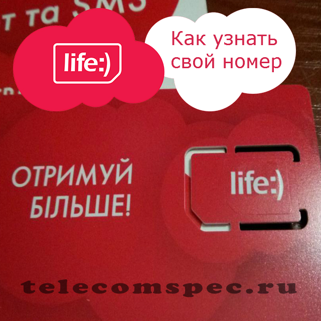 Как узнать свой номер Лайф: посмотреть и проверить номер телефона