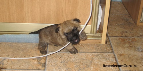 Причины нестабильной работы интернета Ростелеком и их устранение